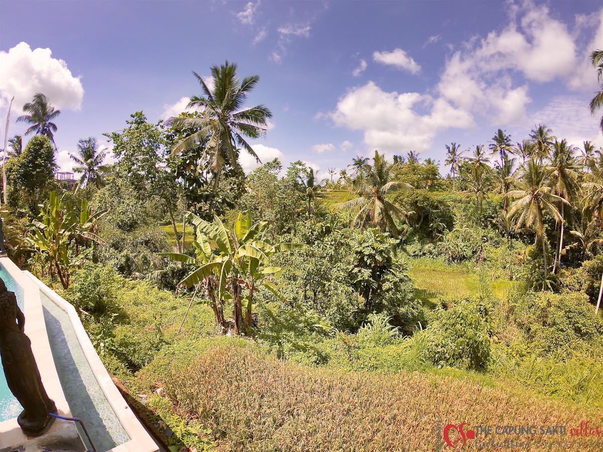 Capung Sakti Villas 우붓 외부 사진