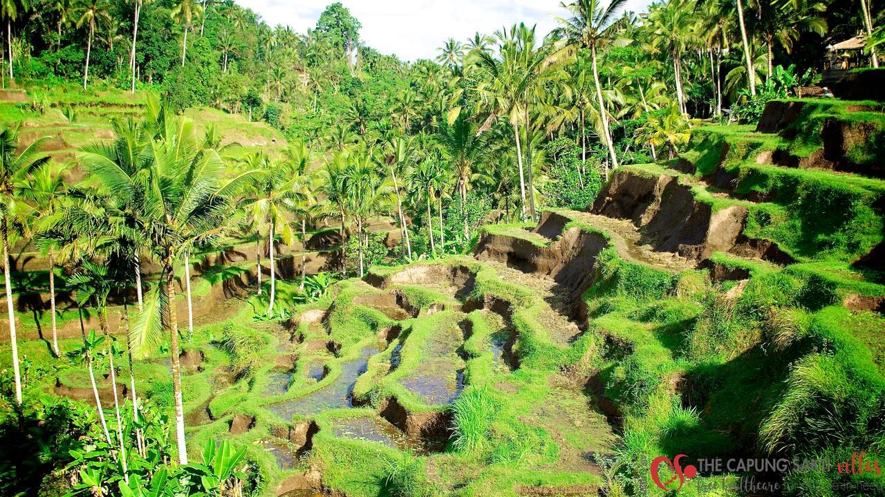 Capung Sakti Villas 우붓 외부 사진